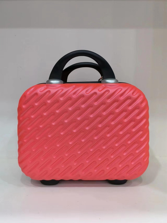Cosmetic Luggage