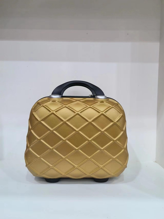 Cosmetic Luggage