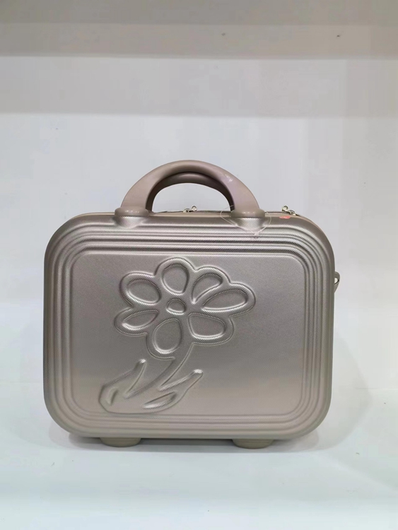 Cosmetic Luggage