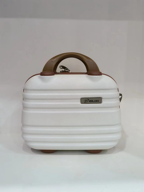 Cosmetic Luggage