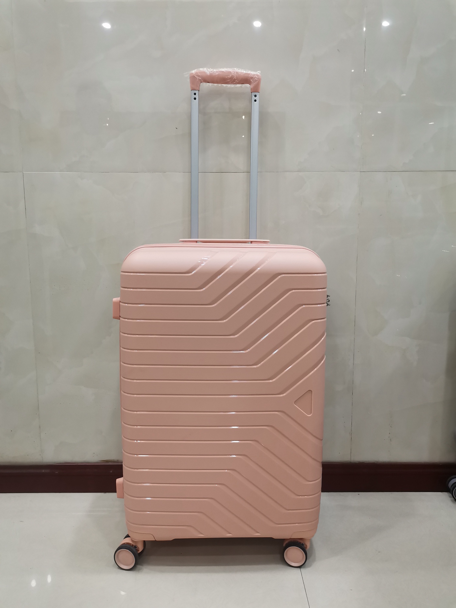 PP luggage