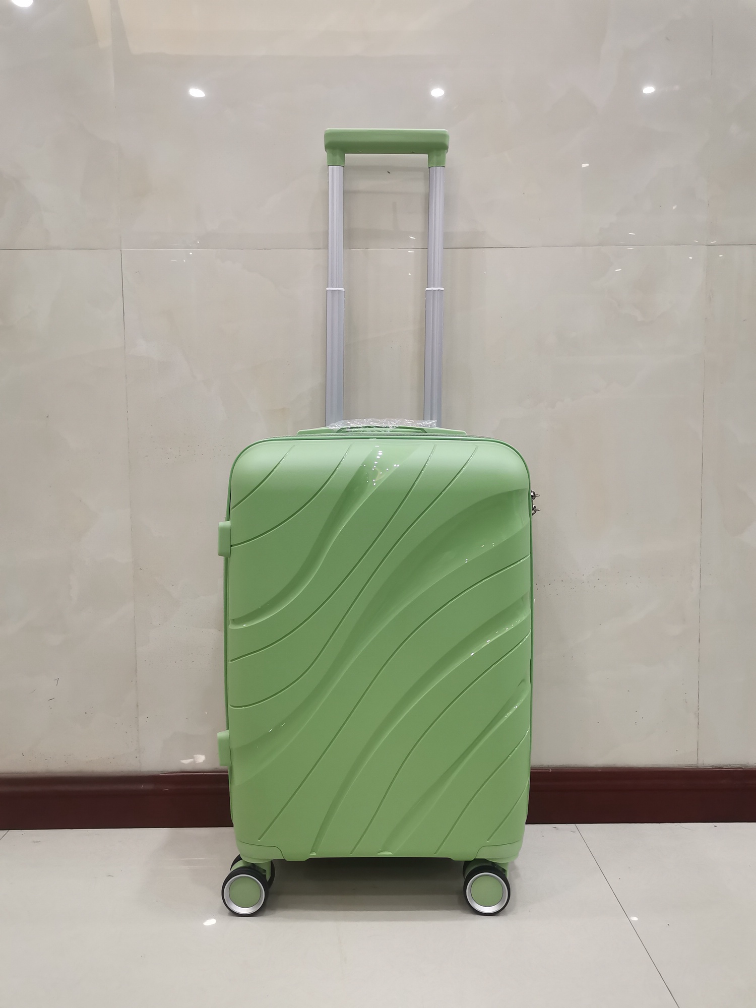 PP luggage