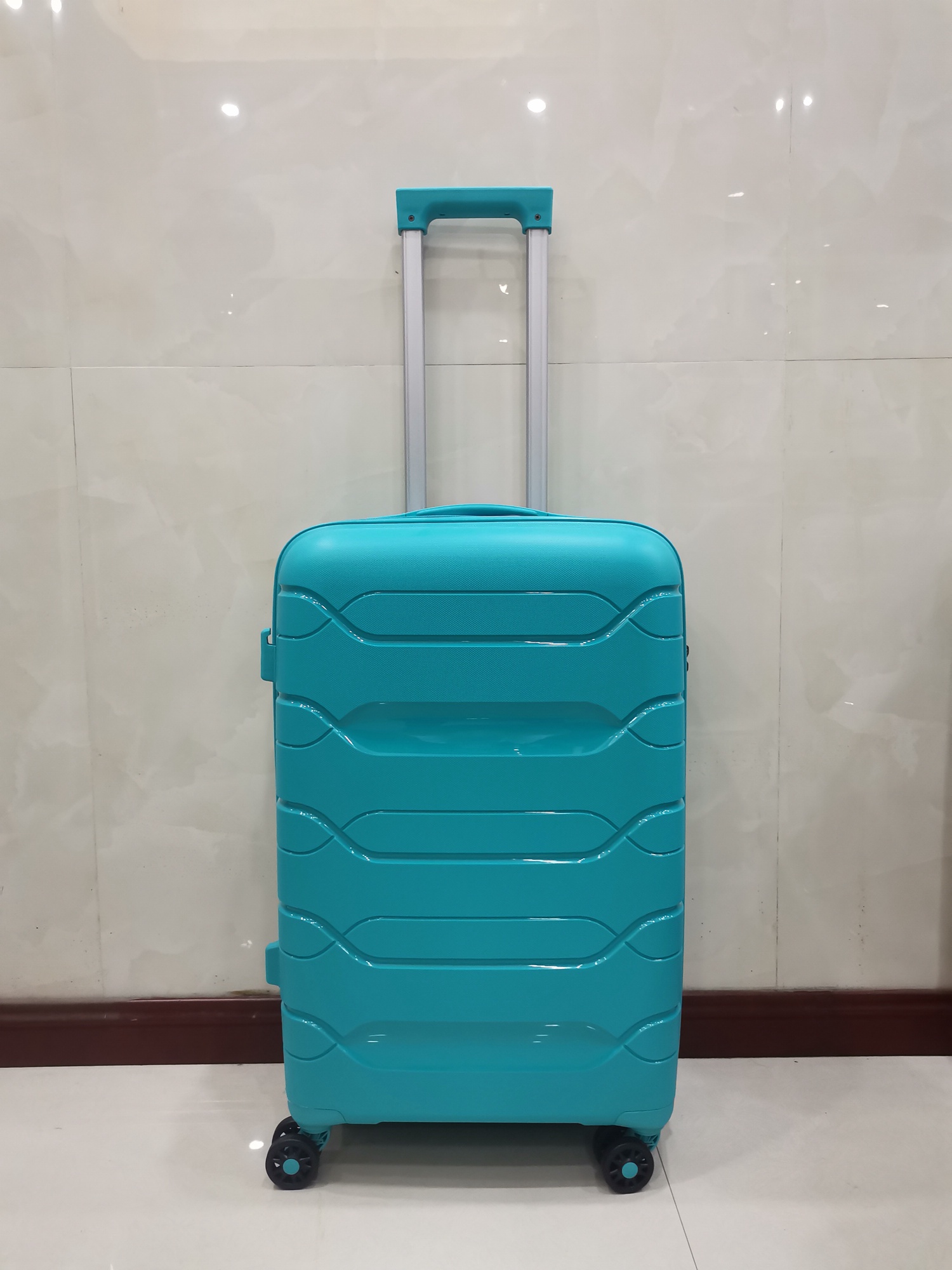PP luggage