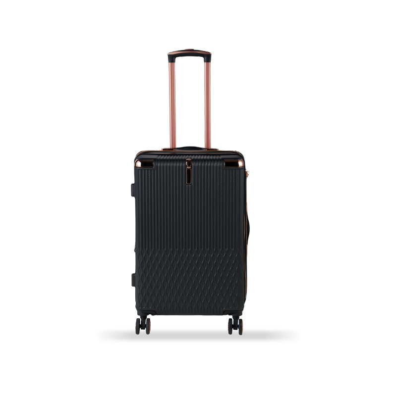 241101 ABS Luggage 241101 ABS Luggage