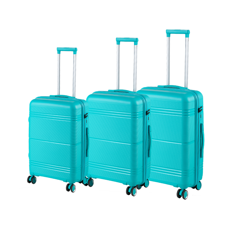 PP1 Luggage