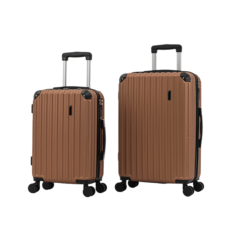 250205 ABS Luggage