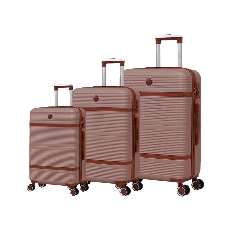 240111 ABS Luggage