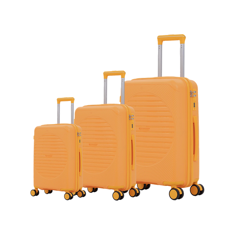 PP-809 PP Luggage